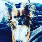 Rufus Mack - Facebook