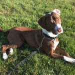 Rufus Maxwell - @rufus.maxwell - Instagram