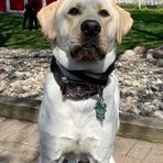 Rufus Maxwell - Facebook