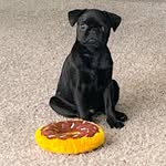 Rufus Morrissey Fitzpatrick The Pug - @rufusmorrisseythepug - Instagram