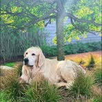 Rufus Phillips Peter - Facebook