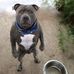 Rufus Pittman - Facebook