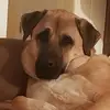 rufus_pooley - @rufus_pooley - TikTok
