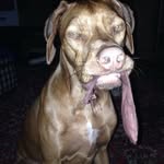 William Rufus Poole - @willyrufus - Instagram