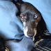 Rufus Singleton - Facebook