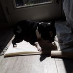 Rufus Terry Tran - @rufus0418 - Instagram