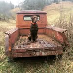 Rufus Ward - @chocolatewasted_13 - Instagram