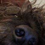 Rufus white - @rufuswhite14 - Instagram