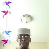 rufuszwhite - @rufuszwhite - TikTok