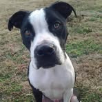 Rufus Whitmore - Facebook