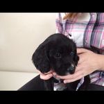 Rufus Wilson - @rufuswilson123 - Instagram