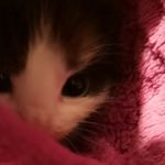 Rufus Wilson - @rufuswilson72 - Instagram