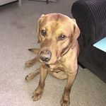 Rufus Wilson - @rufuswilson3401 - Instagram