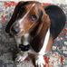 Rufus Yates - Facebook