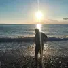 Rui Liao - @ray_liao - TikTok
