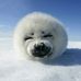 Rui Liao - Facebook
