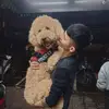 Rui🦁️ - @wengrui - TikTok
