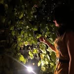 Rujuta Joshi - @rajoshi_11 - Instagram