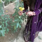 Rukhsana Awan - @awanrukhsana - Instagram