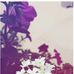 Rukhsana Awan - Facebook