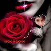 Rukhsana Rahman R225 - @rukhsanarahma - TikTok