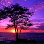 Rukmini Menon - @ruk.men - Instagram