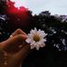 Ruma Haque - Facebook