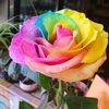Ruma Haque - @ruma.haque8 - TikTok