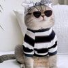 RUMA HAQUE - @user6105420163661 - TikTok