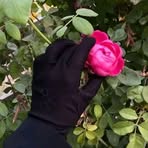 Rumana Islam - Facebook