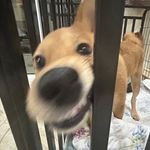 Run Ji Zhang - @zrunjigg - Instagram