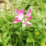杨若尘 - @ruochen.yang - Instagram