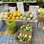 Ruochen Yang - @pre_prep_prag_ - Instagram
