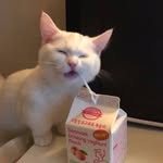 杨若晨 - @yangruochen8027 - Instagram