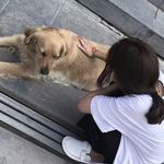 杨若熙 - @yang_ruoxi - Instagram