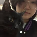 梁若欣 - @ruoxin.liang - Instagram