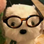 Ruoxin Li - Facebook