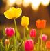 Rupa Das - Facebook