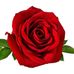 Rupa Das - Facebook