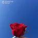 Ruplal Sarthi - Facebook