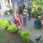 Rupali Shah - Facebook
