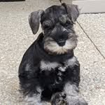 Humphrey Rupert Hardy-Benson - @prince_humphrey_rupert - Instagram
