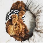 Mr Benson + Mr Rupert - @bensonandrupert - Instagram