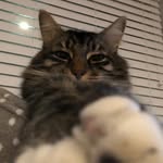 Rupert - @rupertcrosse - Instagram