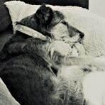 Rupert Glover - Facebook