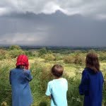 Rupert Hall - @rupert.hall - Instagram