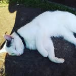 Rupert - @rupert_halley - Instagram