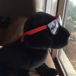 Rupert James - @rupert_james_smee - Instagram