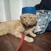 Rupert James - Facebook
