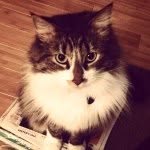 Rupert James G - @monsieurrupert - Instagram